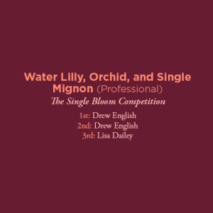 Water Lilly Orchid and Single Mignon Professional